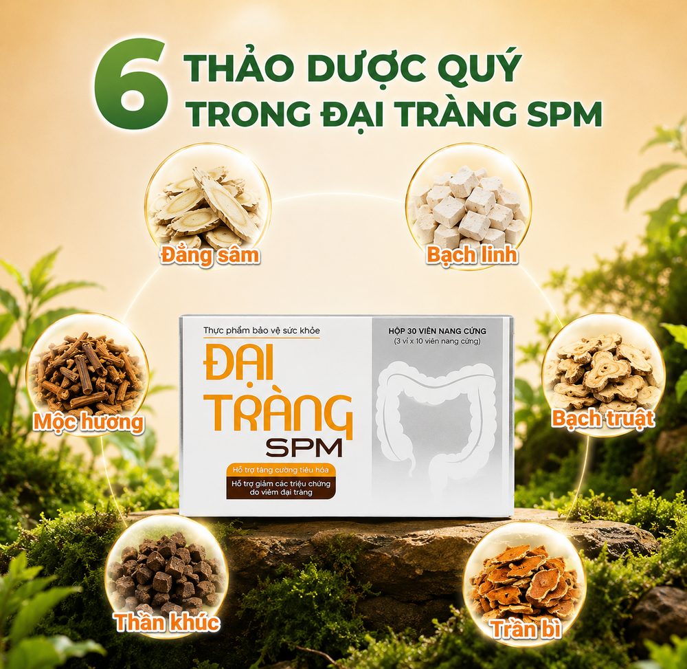 6 thảo dược quý trong Đại Tràng SPM: Đẳng sâm, Bạch linh, Mộc hương, Bạch truật, Thần khúc, Trần bì